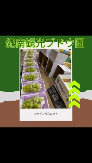 富士の輝（ブラックシャインマスカット）│紀南観光ブドウ園